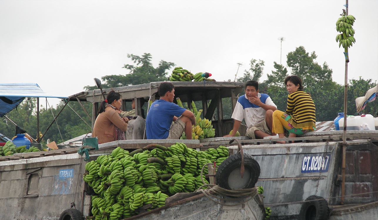 Mekong-Delta-Experience
