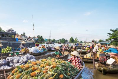 Authentic-Mekong-Delta