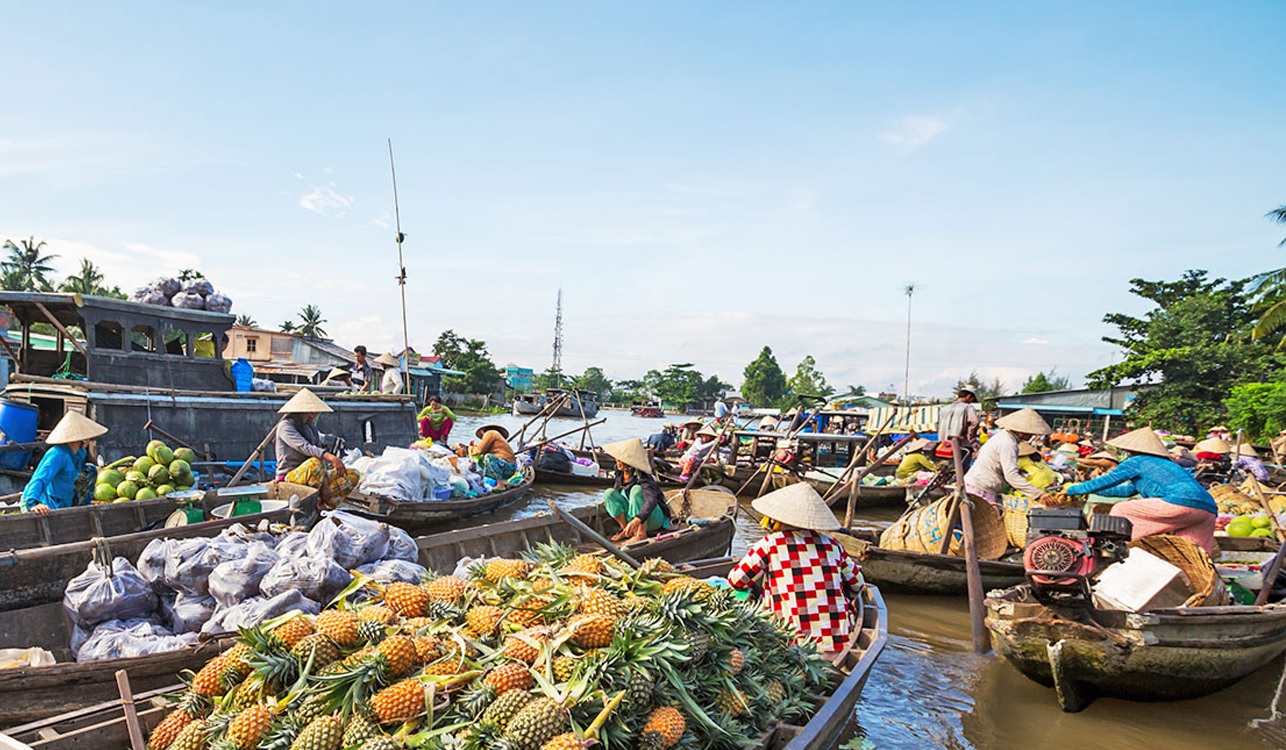 Authentic-Mekong-Delta