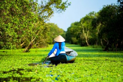 Incredible-Mekong-Delta